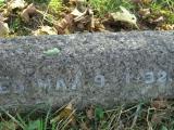 image of grave number 600876